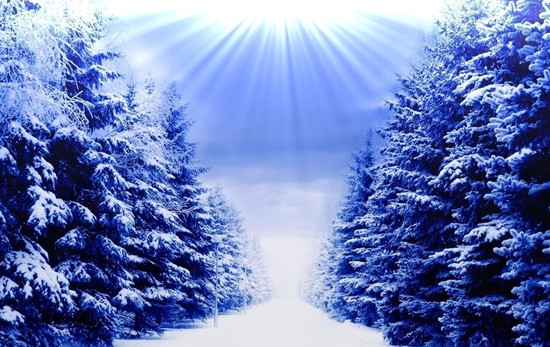 �w�(y��n)�������� �P�c(di��n)����(n��i)��������ξ�·