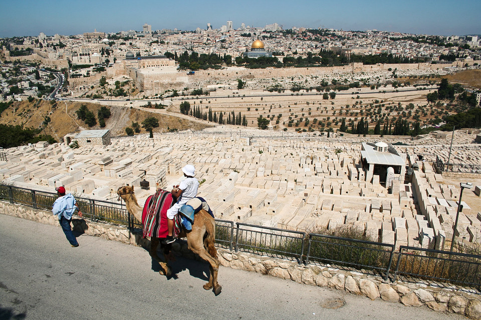 ���m���������εĵط�