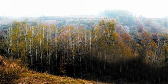 ���ڮ����� ��䮋����Ŀɽ