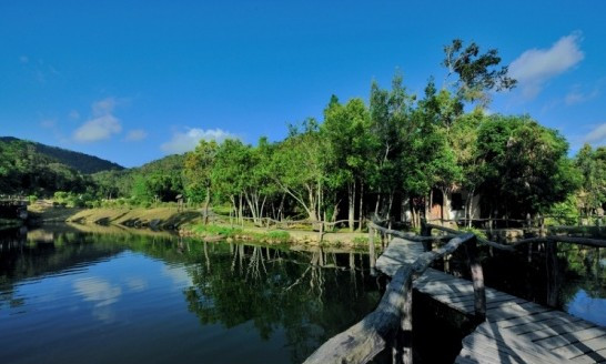 �Ї�(gu��)����ʮ��ɭ��