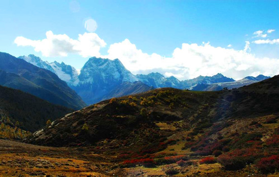 �Ї�(gu��)����ʮ��ɭ��