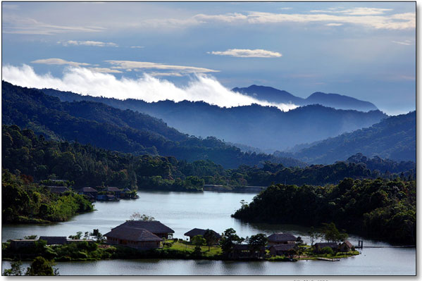   �Ї�����ʮ��ɭ��