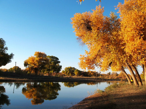 �Ї�����ʮ��ɭ��