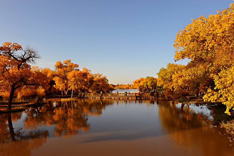 �Ї�(gu��)ʮ������̽�U(xi��n)���΄ٵ�