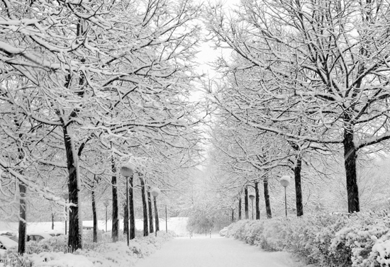 �������κÎ��� С��邃���^��