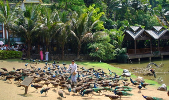 ��������&ldquo;�����w&rdquo;