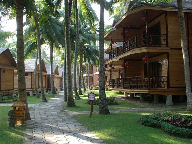 ��������&ldquo;�����w&rdquo;