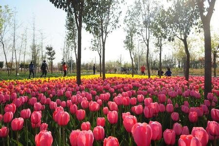 ���F���f��Ҋ ������߅������Դ���Ѽ�