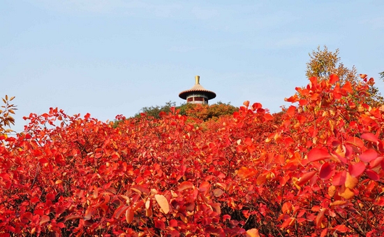 �����o������������r��(ji��)�p�t�~����