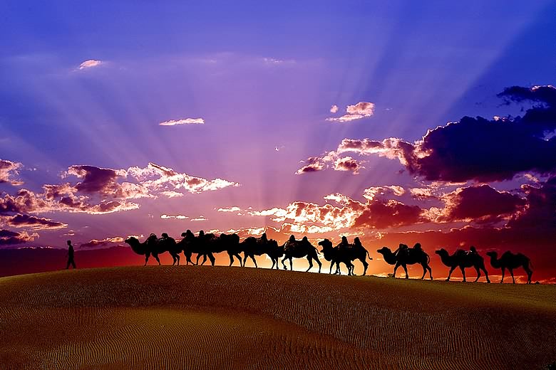 �����_�����û�܇ �I����;�����L��