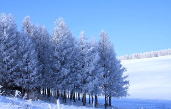 ����ѩ���ȶÞ�� �P�c(di��n)����(n��i)����pѩ�ٵ�