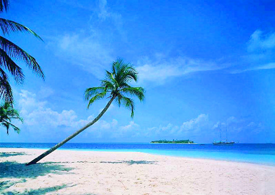 ʥ�Q��(ji��)ȥ�����κ� 8�����]�����x