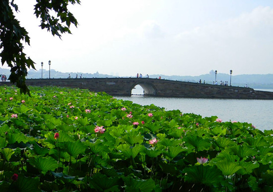 ʥ�Q��(ji��)ȥ�����κ� 8�����]�����x