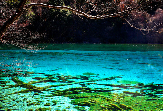 �Ї�������ʮ�����ط�