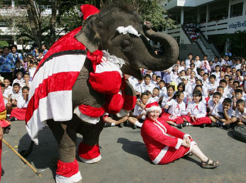 ����ĩ˽���������^ʥ�Q ���n�ʂ�