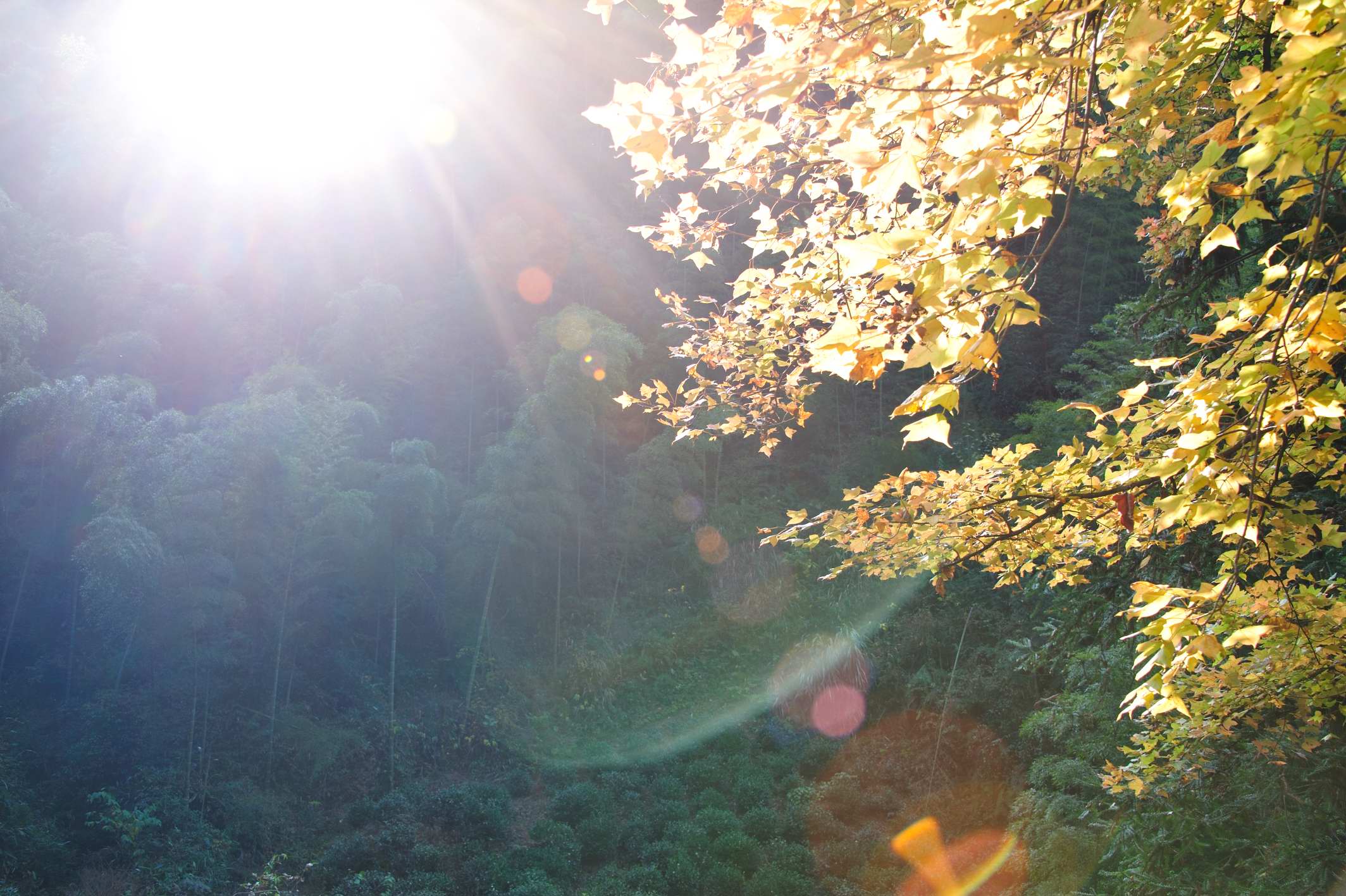 ��ĩ���h�� ʡ��(n��i)��߅�����]