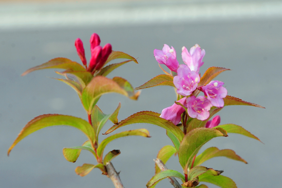 ��ĩ���h�� ʡ��(n��i)��߅�����]