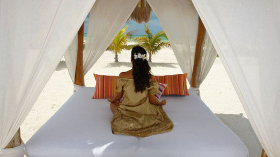 ����������2014������T���߷N�ó�