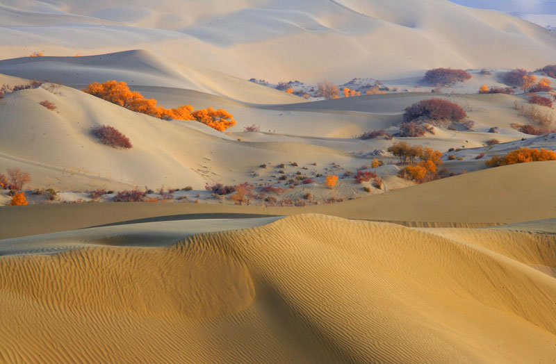 ��(gu��)��(n��i)ʮ��������̽�U(xi��n)��·