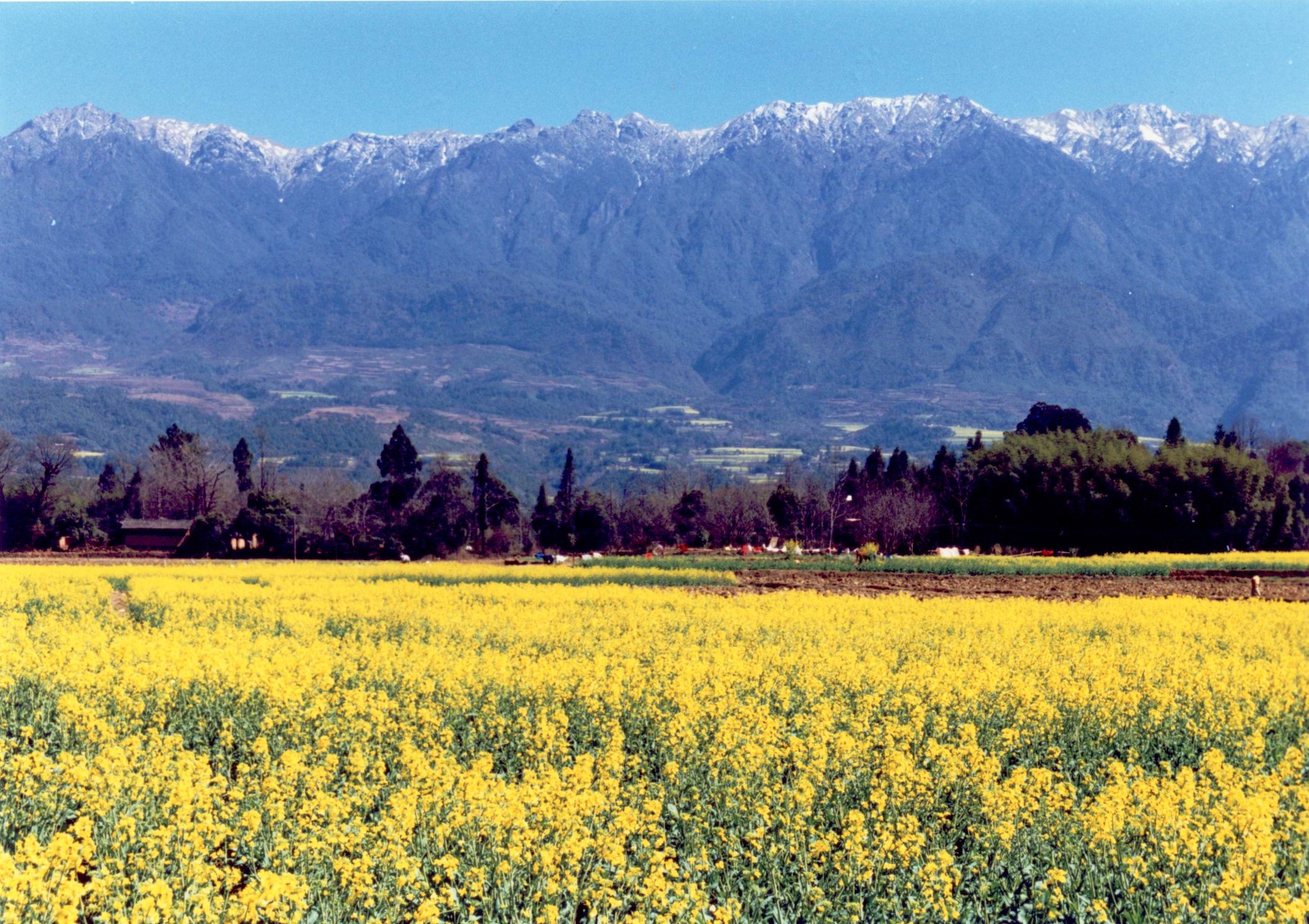 ��(gu��)��(n��i)ʮ��������̽�U(xi��n)��·