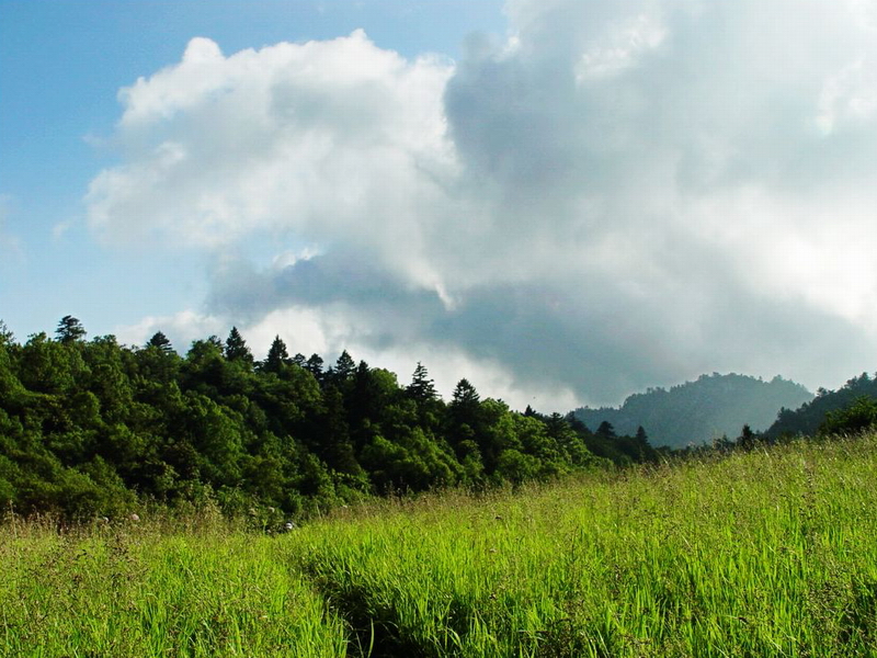 ����(n��i)ʮ��������̽�U(xi��n)��·