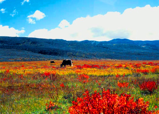 12�·�ȥ�����κ� �Ĵ�^�����е����]