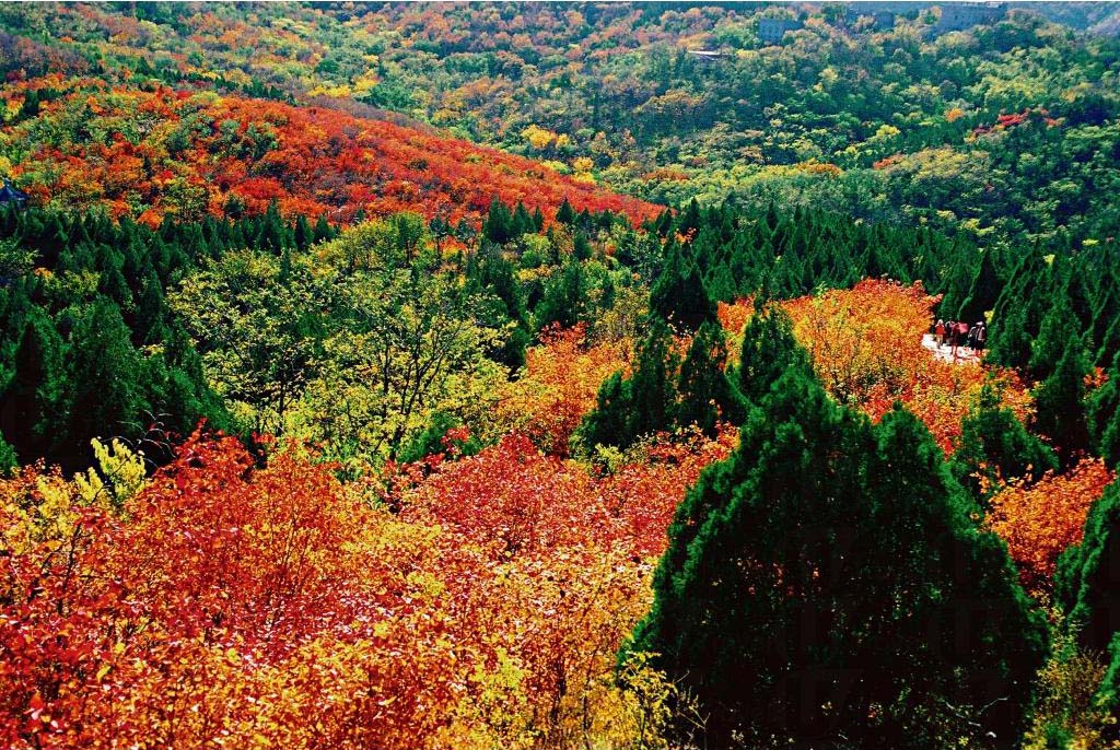 12�·�ȥ�����κ� �Ĵ�^�����е����]