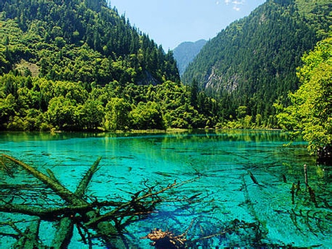 Ů��һ����ȥ����(n��i)��10�ط�