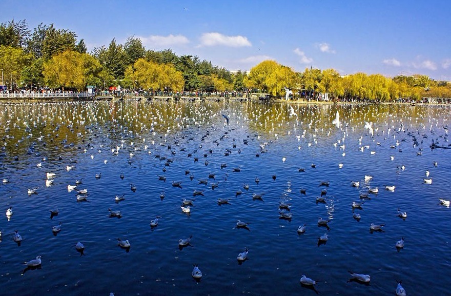 �Ї�(gu��)�ߴ�����昷���а�