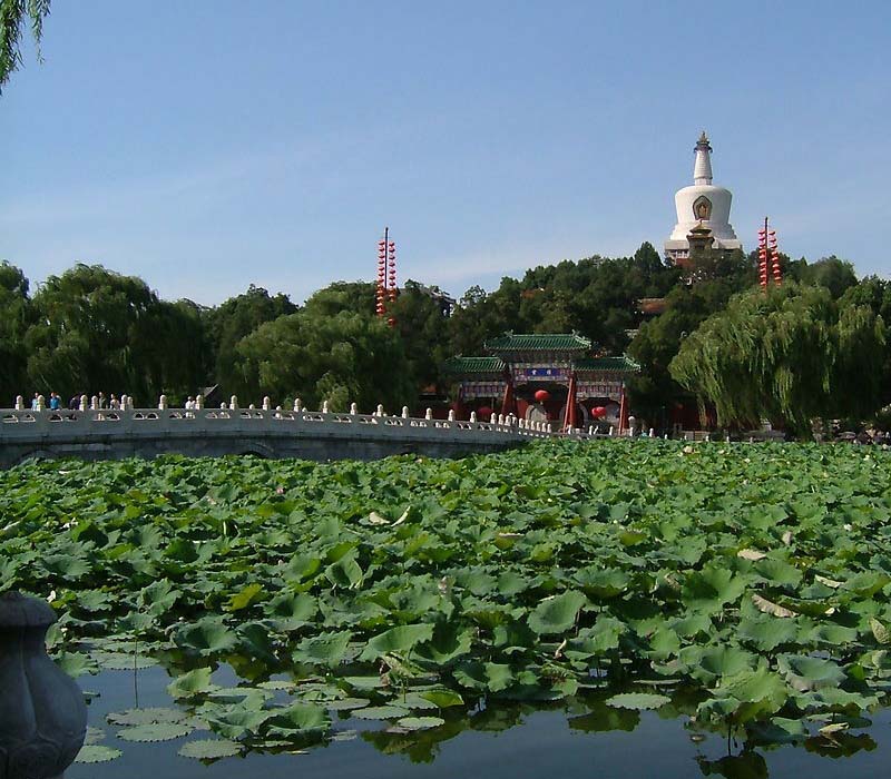 �Ї��˴��������� ��������˼�w