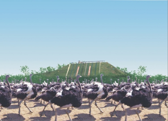 ˽��ӆ�Ƶ�������Ԫ��ʡ��(n��i)���ε����]