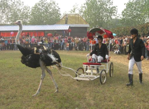 ��ĩ���e�� �������꿨����ȫʡ�����L(f��ng)��