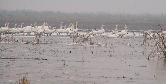 ���������^�B�r(sh��) ʡ��(n��i)�^�B�رP�c(di��n)