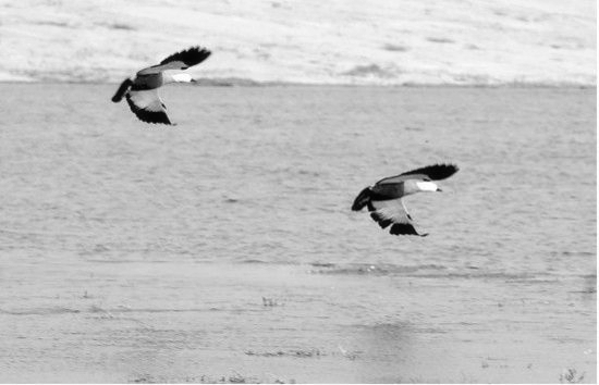 ���������^�B�r ʡ���^�B�رP�c