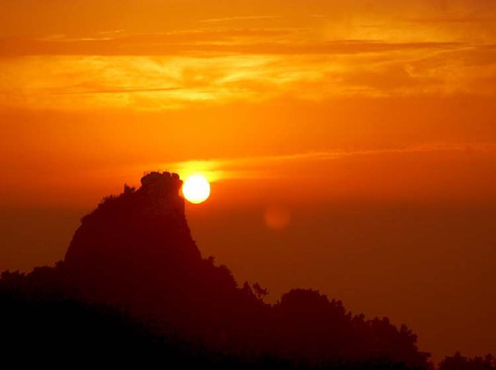 ��������115�� �҇����M��󱊻��l(f��)չ�A��