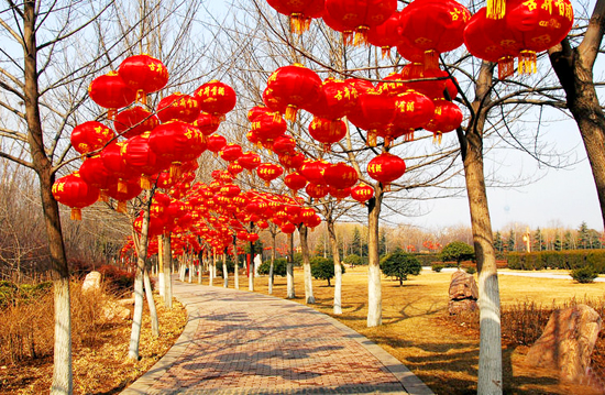 ��ꖺ����Ļ��R������