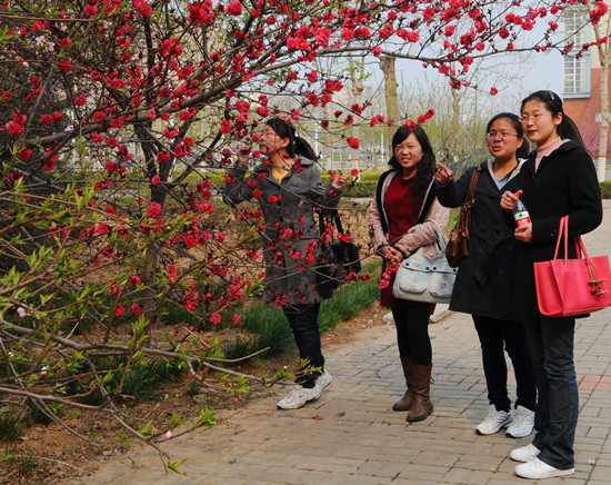 �ѻ����� ���ѻ� �_������ɽ