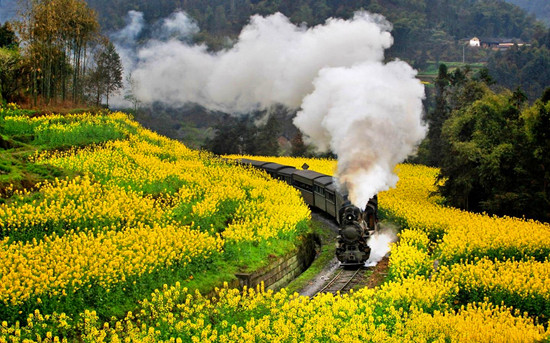 �Ͳ˻� ��Դ���� �_ƽ���� �ຣ��