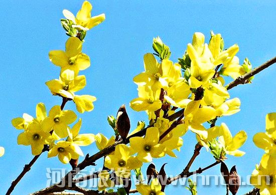 ���l(xi��ng)�Pɽ �Pɽ�B�N ��������