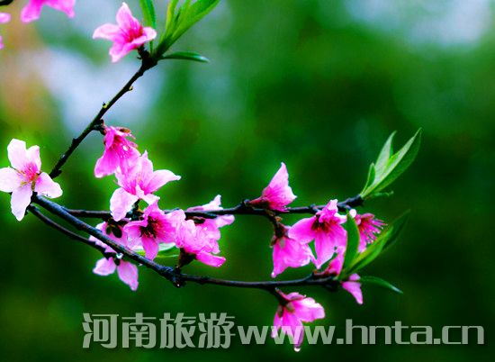 �������� ����(ji��)�һ� �һ��\(y��n) 