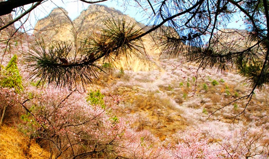 ���l(xi��ng)��� �һ���(ji��) ��������