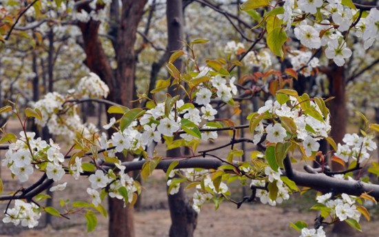 �����p�滨��������