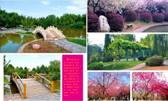 ��ĩ�p���g���� �������o�g���@