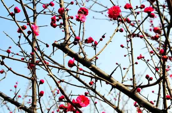 ���ݾG���@�����������Z Ψ�з����