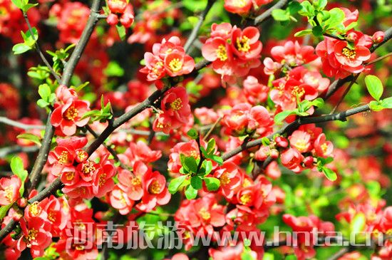 ����۳�꣺ꖴ����� �p������(d��ng)�r(sh��)