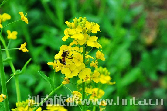 ����۳�꣺ꖴ����� �p������(d��ng)�r(sh��)