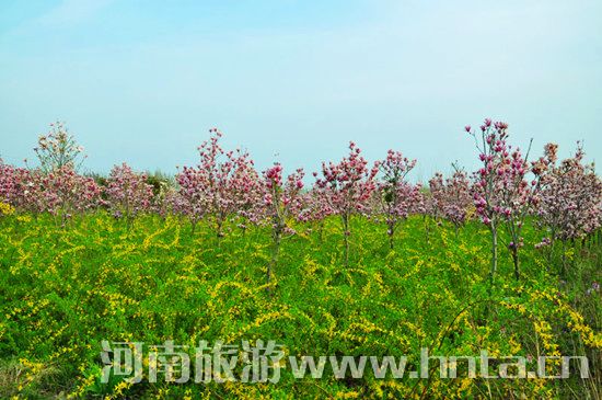 ����۳�꣺ꖴ����� �p������(d��ng)�r(sh��)