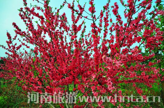 ����۳�꣺ꖴ����� �p������(d��ng)�r(sh��)