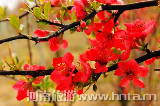 ����۳�꣺ꖴ����� �p������(d��ng)�r(sh��)