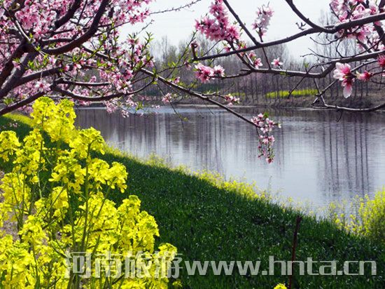 ����۳�꣺ꖴ����� �p������(d��ng)�r(sh��)